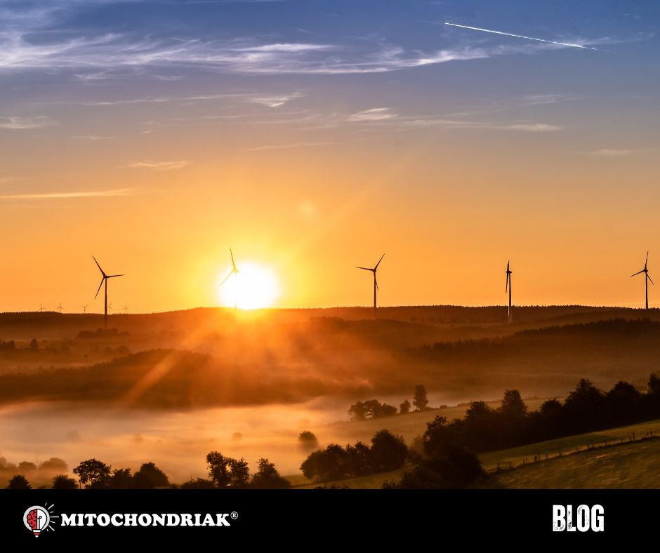 Poranne światło słoneczne i rytm dobowy po zmianie na czas letni